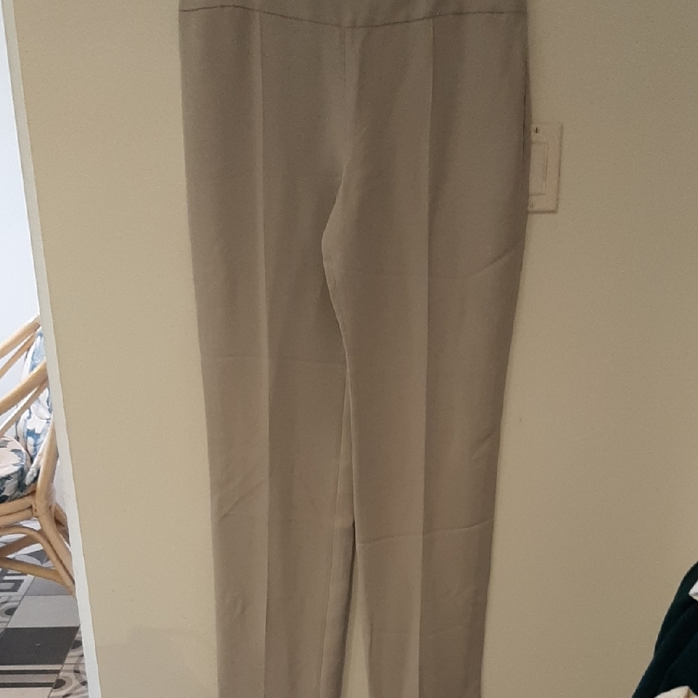 ARMANI New Women's Light Gray Pants Sraight Leg Sz 10 Viscose Silk Unhemmed